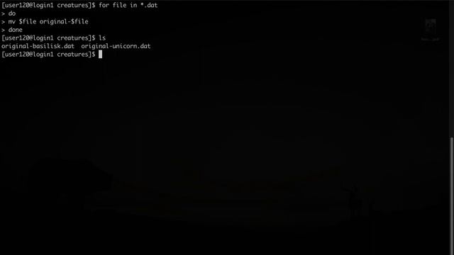 Bash loops смотреть онлайн