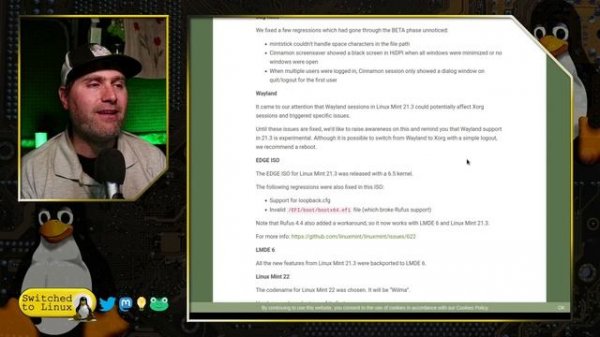 Linux Mint 22 Updates