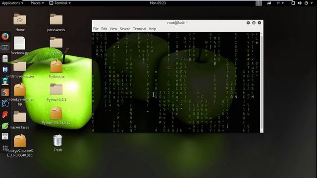 how to get matrix backrgound on kali linux terminal смотреть онлайн