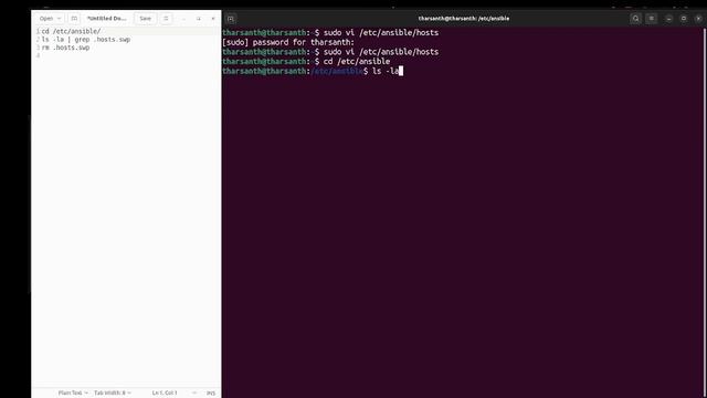 How to remove the /etc/ansible/.hosts.swp file in Ubuntu смотреть онлайн