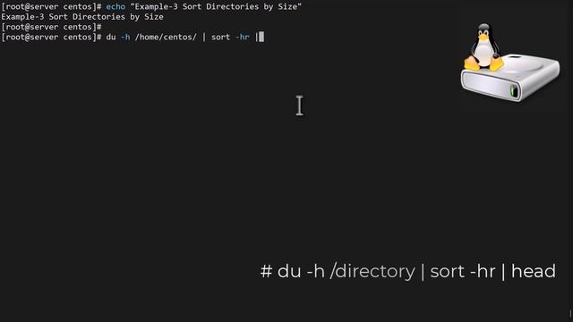 Essential Linux Disk Space Commands #VNCLINUX #LINUX #DISK #usage #space смотреть онлайн