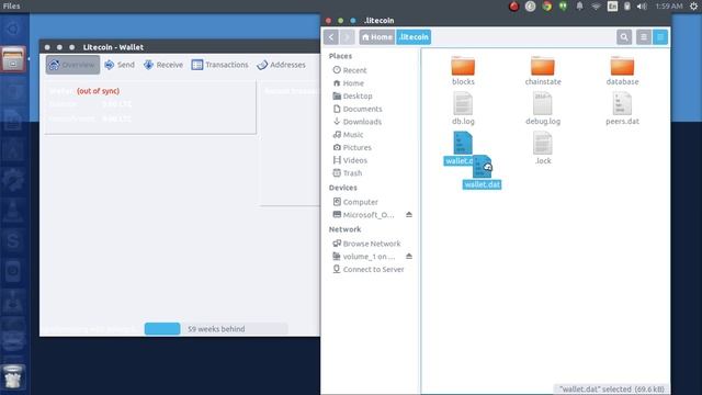 How to restore your Litecoins into the LTC Wallet in Linux [Ubuntu] смотреть онлайн
