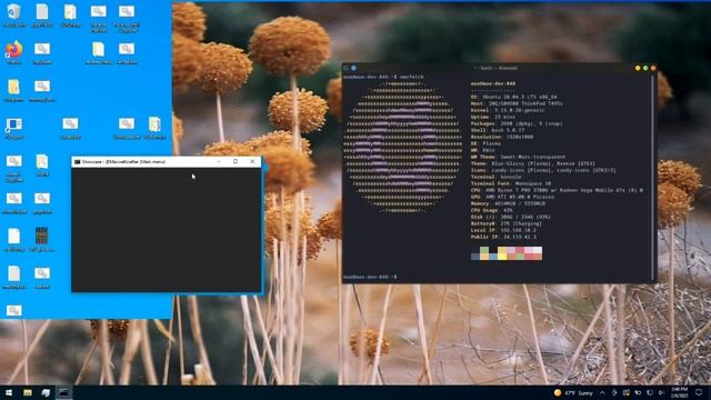 Running MS-Batch over a Linux desktop using the power of broken graphical drivers смотреть онлайн