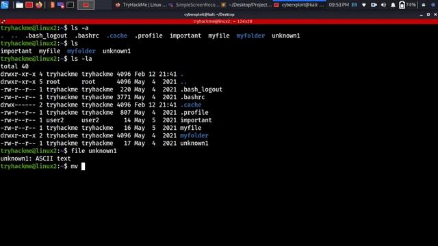 #4. TryHackMe ~ Complete Beginner path - Linux Fundamentals 2 смотреть онлайн