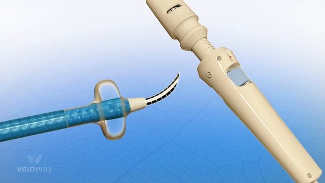 Traversa Animated Video смотреть онлайн