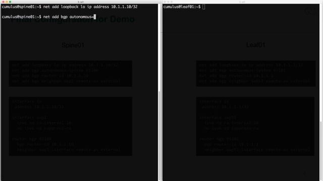 Getting Started: Configuring BGP unnumbered смотреть онлайн