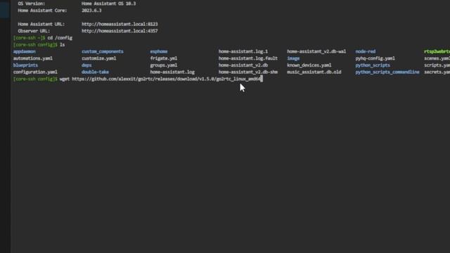 Reolink Doorbell 2-Way Audio In Home Assistant Using Frigate смотреть онлайн
