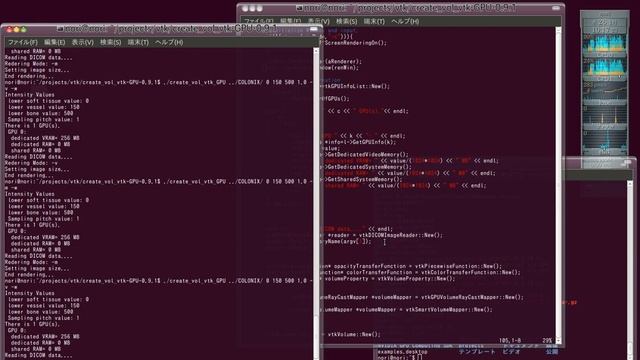 Volume Rendering Program using GPU ray-cast with VTK-5.7 on Ubuntu 10.10. смотреть онлайн
