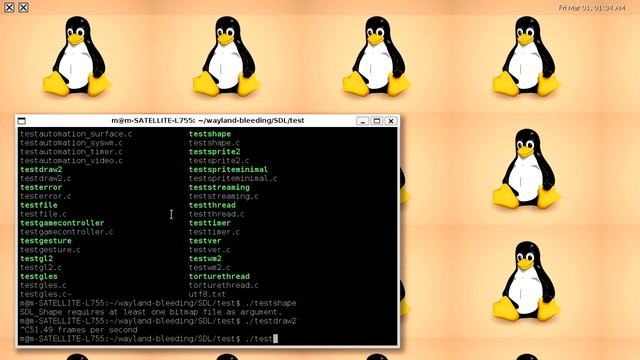 Native SDL2 on wayland смотреть онлайн
