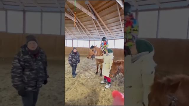 Поздравляем наших всадников! смотреть онлайн