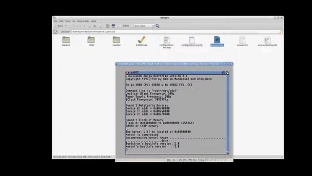 Debian Sarge on Amiga 3000 (WinUAE) Part 5 - Quick boot смотреть онлайн