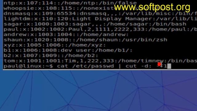 cut command example in Linux смотреть онлайн