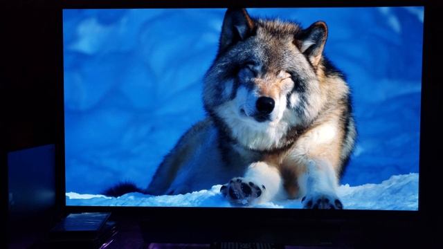 OLED E8 by LG - After Three Months of use : My Thoughts смотреть онлайн