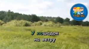Караоке для детей.  Карусельные лошадки Литвинов Н. Детские песни