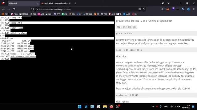 🔴LIVE!! LESSON 4 - WEBMINAL смотреть онлайн