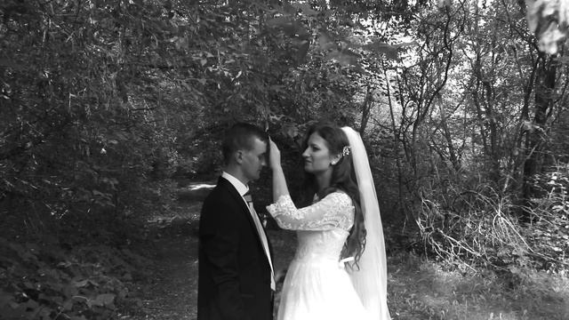 Яна и Василий завершающий клип свадебного дня The End clip смотреть онлайн