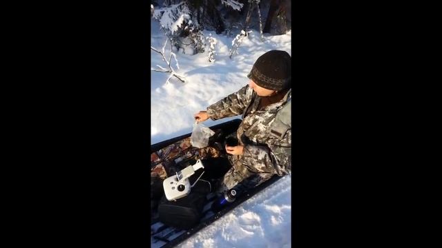 Перекус в зимнем лесу .Из не вошедшего смотреть онлайн