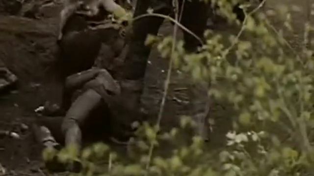 Atlantis Cats смотреть онлайн