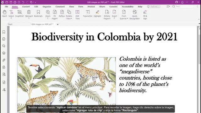 Cómo agregar y editar imágenes con Foxit PDF Editor Pro смотреть онлайн