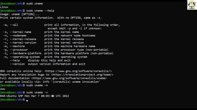 Curso de Linux - uname ¿cual es el sistema que estamos usando? смотреть онлайн