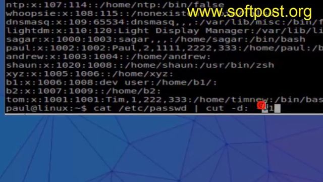 cut command example in BASH shell terminal смотреть онлайн