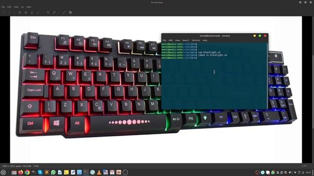 Teclado retroiluminado linux | h'maston AN300 | Gamer | Linux Mint | keyboard gamer linux смотреть онлайн