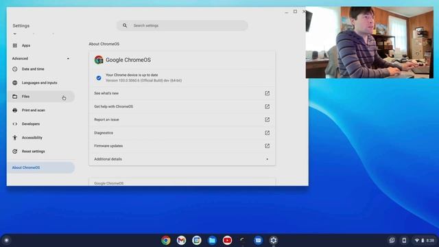 Testing Multiple Linux Containers on ChromeOS Flex смотреть онлайн
