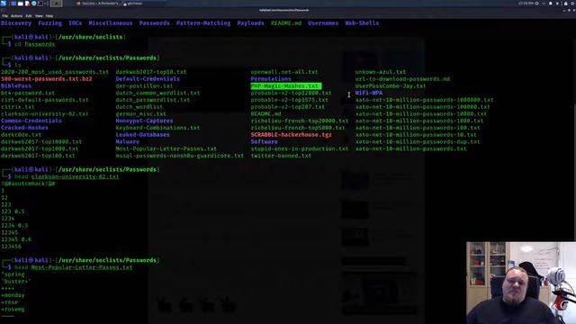 Seclists - Hacking wordlists - Do I like it? смотреть онлайн