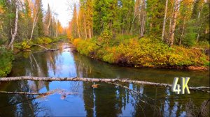 НЕОЖИДАННЫЙ РЕЗУЛЬТАТ ОТ НОВОГО МЕСТА, ХОДОВАЯ РЫБАЛКА.