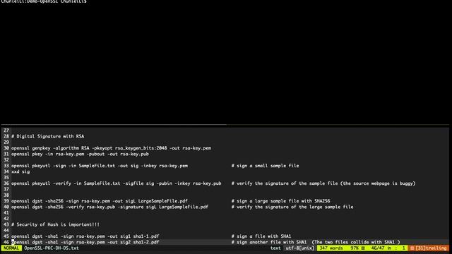 OpenSSL Demo DigSig смотреть онлайн