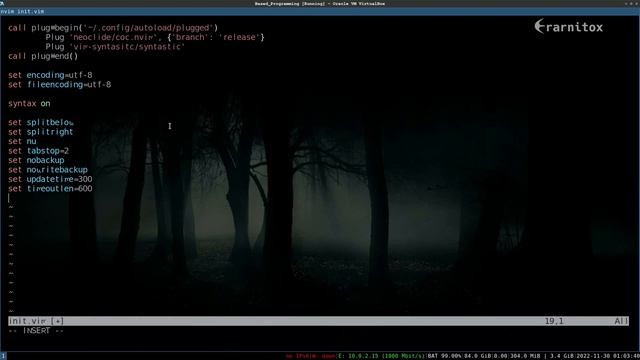 Vim: .vimrc / init.vim Configuration - Based Programming смотреть онлайн