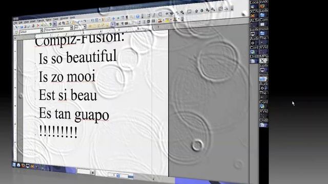 Compiz Fusion Running On Gentoo Linux