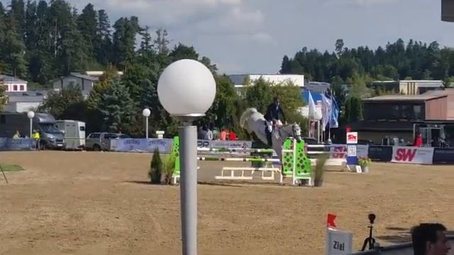 geb. 2008, Lordanos x Cento / Zeus смотреть онлайн
