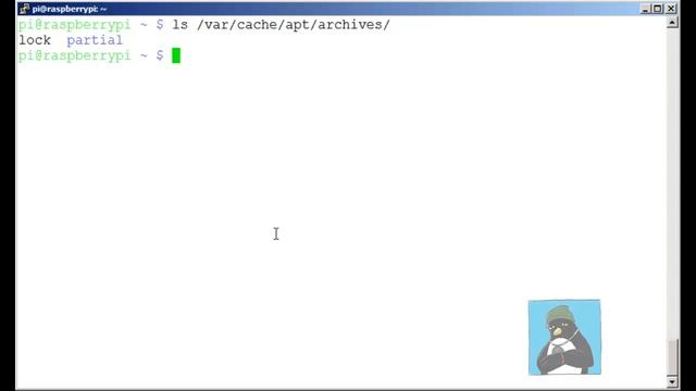 Raspberry Pi Create your own Repository смотреть онлайн