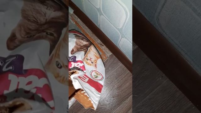 Зоя Ардашева Арт // Zoya Ardasheva Art