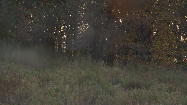 Winke's Blog Day 8: Mature Buck Home Range | Midwest Whitetail смотреть онлайн