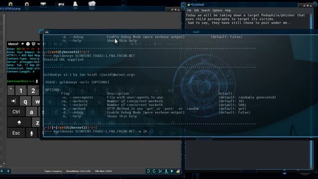 DOS using GoldenEYE in Kali смотреть онлайн