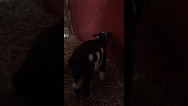 Верьте в чудеса! смотреть онлайн