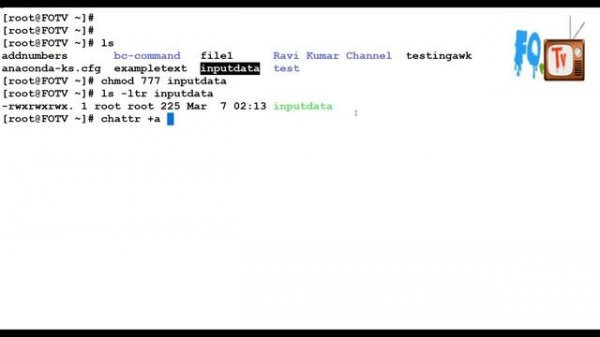 Linux commands | chattr command | Protect files & directories from accidental deletion | FOTV
