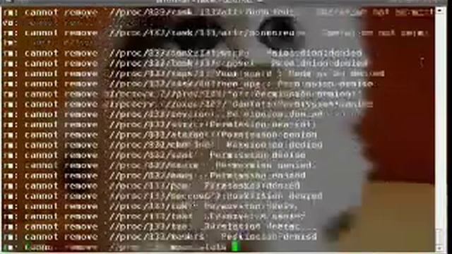 sudo rm / -rf смотреть онлайн