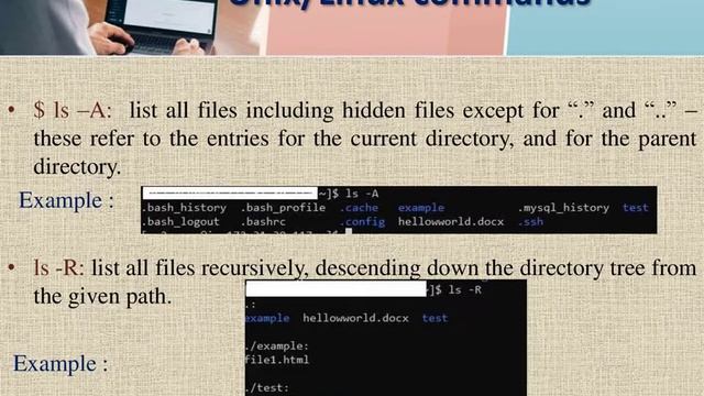 Unix/Linux ls commands with example смотреть онлайн