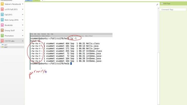 Linux Command Flags смотреть онлайн