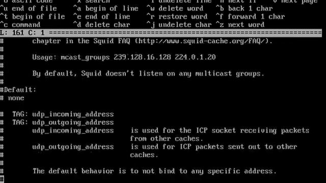 Free BSD Proxy Server