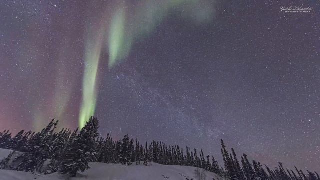 Aurora Borealis 4K UHD Walsh Lake, Yellowknife N100-9086-9997 смотреть онлайн