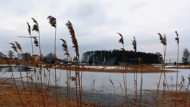Тихиничи смотреть онлайн