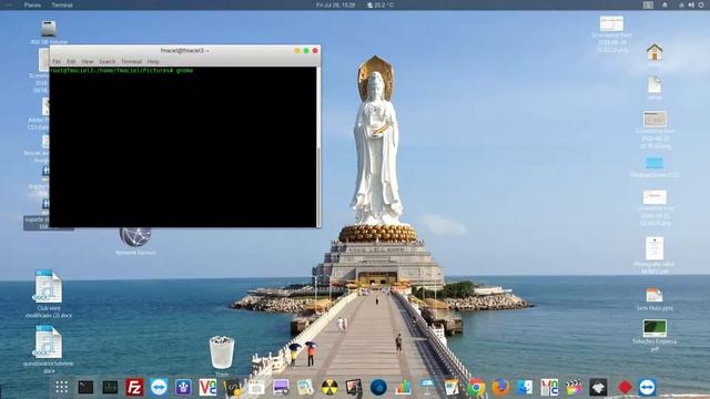 Acessando Gnome Disk pelo terminal linux - Access Gnome Disk for termnal смотреть онлайн
