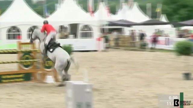 Chactino Stallion (Chacco Blue X Cento) смотреть онлайн