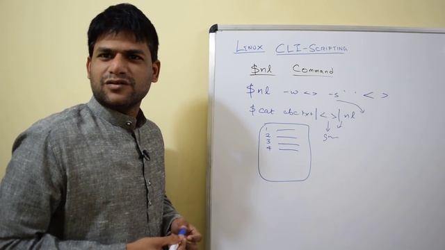 Online Course - Linux CLI Scripting - Episode9 - $nl command смотреть онлайн