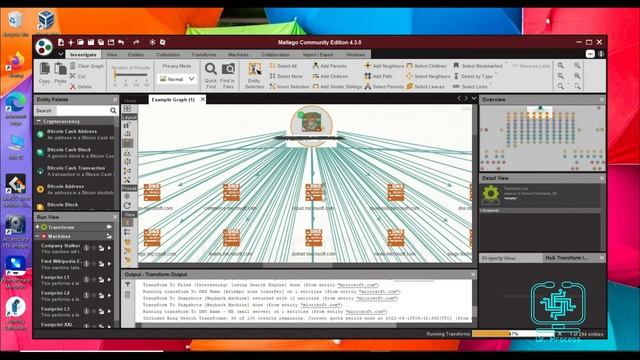 اتقان كالي لينكس لاختبار الاختراق المتقدم - شرح برنامج Maltego смотреть онлайн