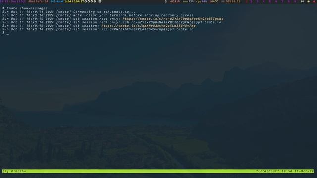 How to share Linux or Termux screen with friends live remotely | Urdu Hindi смотреть онлайн